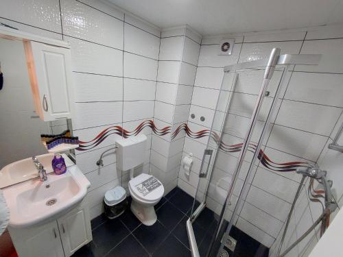 a bathroom with a shower and a toilet and a sink at Villa & Apartments Antigona in Ohrid