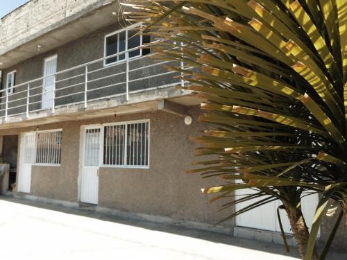 a building with a palm tree in front of it at Tokali, GuestHouse in Mexico City