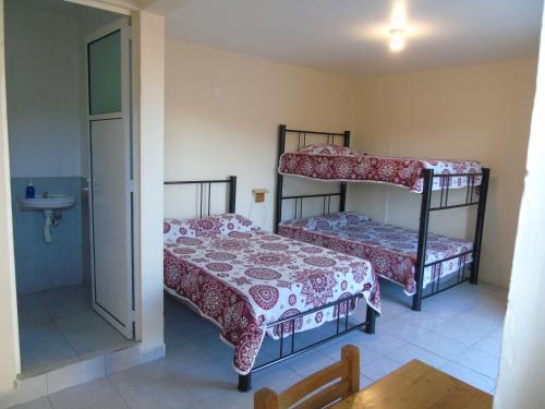 a bedroom with two bunk beds and a sink at Tokali, GuestHouse in Mexico City