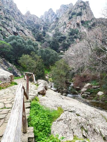 Paisaje cerca de este apartamento