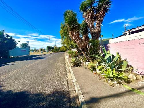 an empty street with palm trees and a pink wall at Executive Accommodation Bellville 2 in Cape Town