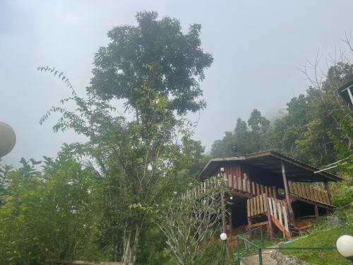 Gallery image of Forest Guesthouse in Samoeng