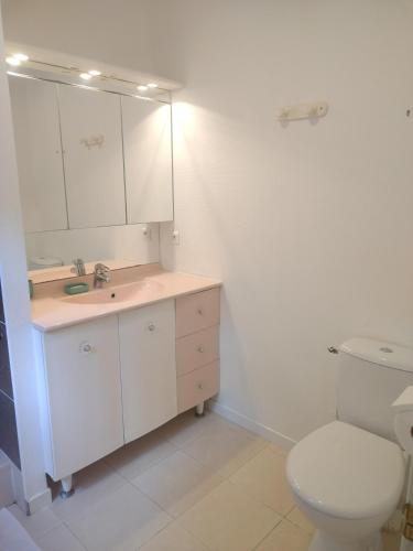 une salle de bain avec toilettes, lavabo et miroir dans l'établissement Studio privatif DATCHA, à Saint-Germain-en-Laye