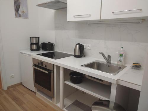 une cuisine avec un évier et un plan de travail dans l'établissement Studio privatif DATCHA, à Saint-Germain-en-Laye