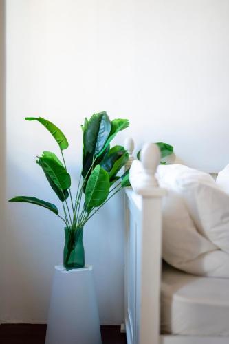 a green plant in a white vase next to a bed at The Bibik at 8 Clarke -NEW Entire #Unesco #HeritageHome in George Town