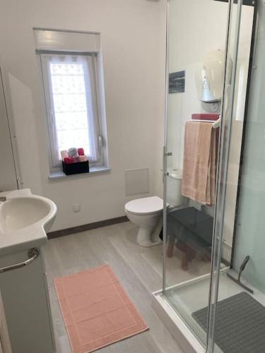 une salle de bain avec douche et toilettes et une fenêtre dans l'établissement appartement vue exceptionnelle 2pers, à Ault
