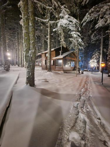 Karinna Orman Evleri