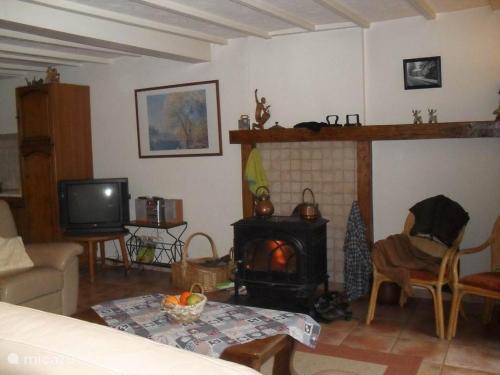 a living room with a fireplace and a tv at Les Ruisseaux in Gedinne