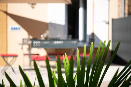 a plant with green leaves in front of a building at Le Charme Digoinais in Digoin