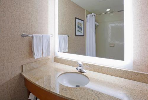 a bathroom with a sink and a mirror at Holiday Inn Hotel & Suites Maple Grove Northwest Minneapolis-Arbor Lakes by IHG in Maple Grove