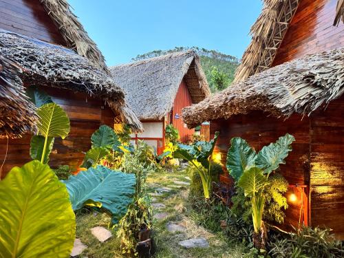 a group of houses with plants in front of them at JoyStay in Cat Ba