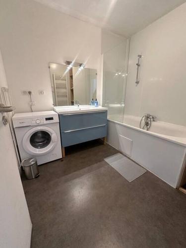 une salle de bain avec une machine à laver et un lavabo dans l'établissement Le Léon Cladel T3 proche parking gratuit, à Montauban