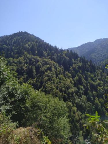 Příroda nedaleko penzionu