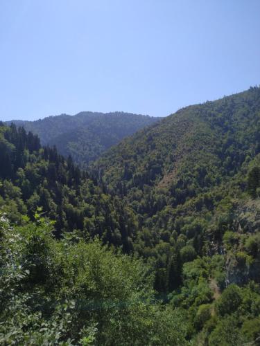 Příroda nedaleko penzionu