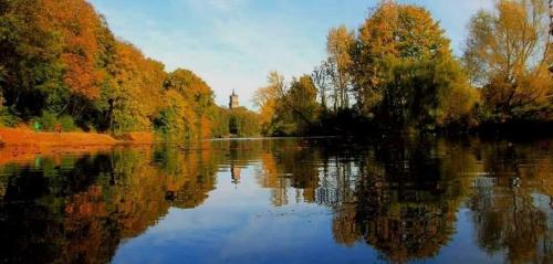 a river with trees reflecting in the water at Ferienwohnung Forstblick in Kranenburg