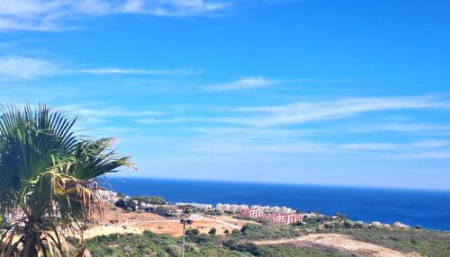 a palm tree on a hill next to the ocean at Noctua Manilva Sea View 023 in Manilva