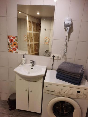 un bagno con lavatrice e lavandino di Spacy apartment in Kaunas center a Kaunas