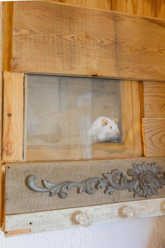 a white cat is looking out of a window at Albergo Panorama in Malesco