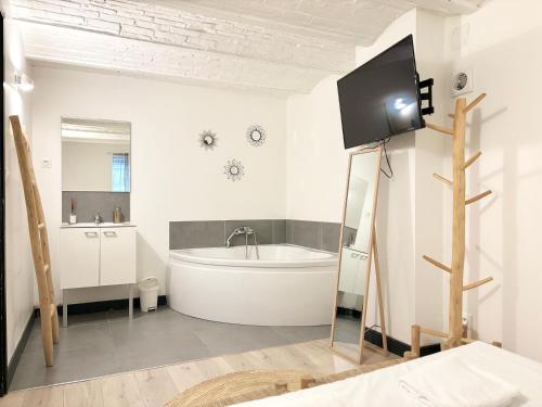 La salle de bains est pourvue d'une baignoire et d'une télévision sur un tripode. dans l'établissement Appartement confortable pour 4 voyageurs, à Roubaix