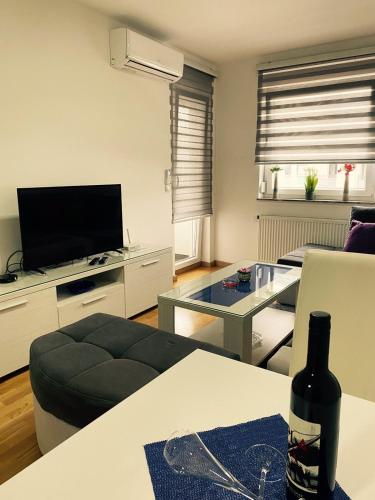 TV/trung tâm giải trí tại Apartmani Avangarda