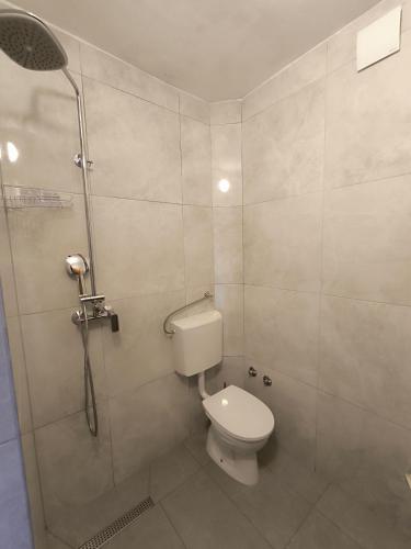a bathroom with a toilet and a shower at Apartments Anica Beber in Borovići
