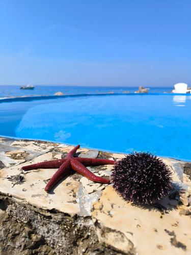 Apartments Anica Beber