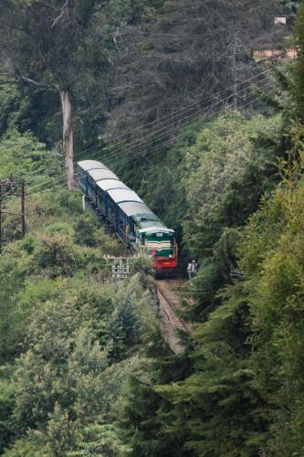 a train on the tracks in a mountain at Heath Cote in Ooty
