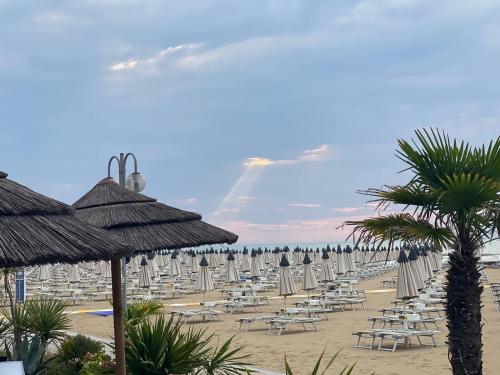 a beach with chairs and umbrellas and palm trees at Villa Garda in Lido di Jesolo