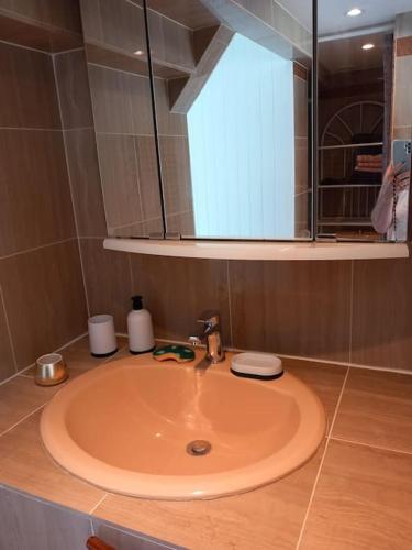 un lavabo de salle de bain avec une personne qui le prend en photo dans l'établissement chez Marie, à Villeneuve-Loubet
