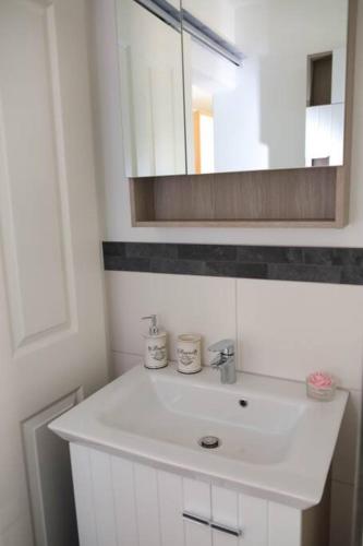 a bathroom with a white sink and a mirror at Studio in uriger Bauernhofidylle in Polch