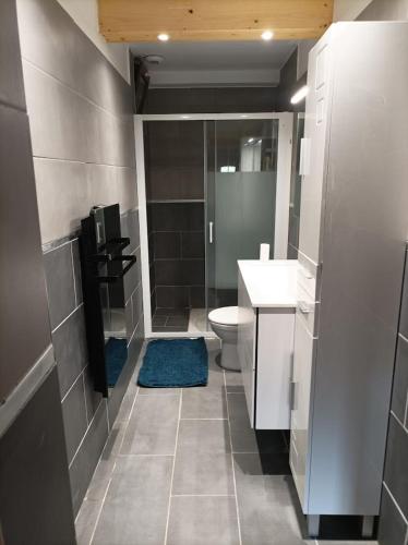 La salle de bains est pourvue de toilettes et d'une douche avec un tapis bleu. dans l'établissement Joli Appart Terrasse et jardinet, à Albertville