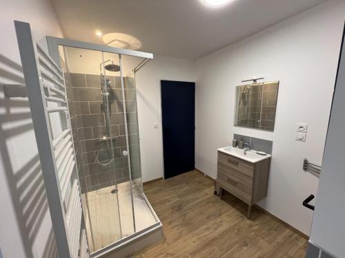une salle de bain avec douche et lavabo dans l'établissement Esprit Maritime - 2p centre-ville, Place Dalton, à Boulogne-sur-Mer