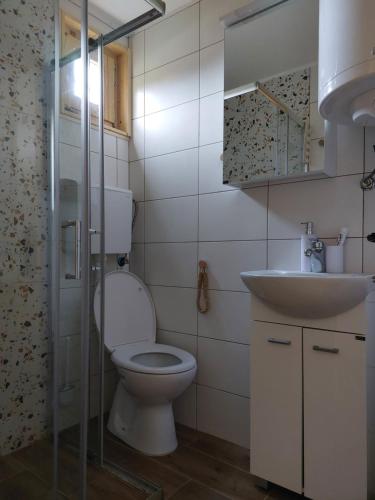 a bathroom with a toilet and a sink at Brvnara Vrganj in Savinac