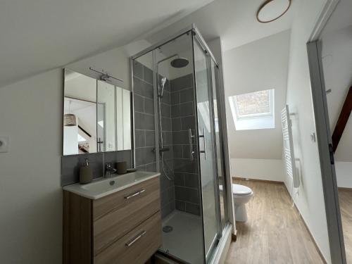 une salle de bain avec une douche, un lavabo et des toilettes dans l'établissement Sous les Toits - Appart Familial 5p, Centre-ville, à Boulogne-sur-Mer