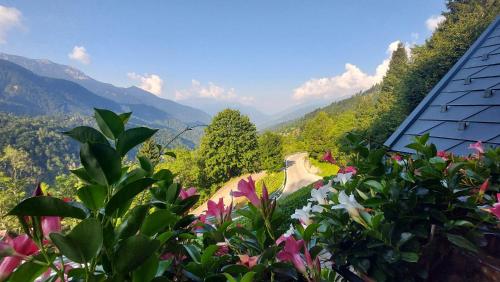 a view of a road in the mountains with flowers at Panoramic House Carnia ,3 badroom chalet Ligosullo - Treppo Carnico - Paluzza - Zoncolan in Ligosullo