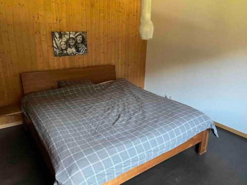 a bedroom with a bed with a blue plaid blanket at Lovely appartment in Rueras bei Sedrun in Rueras