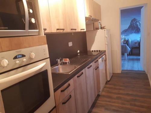 une cuisine avec un évier et un réfrigérateur dans l'établissement Saint lary soulan pied des pistes du Plat d Adet, à Cadeilhan-Trachère