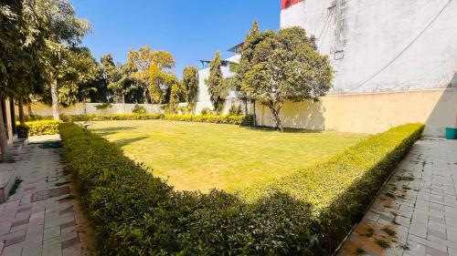 a garden with green hedges and a wall at Hotel Master Paradise, Pushkar, Rajasthan , INDIA in Pushkar