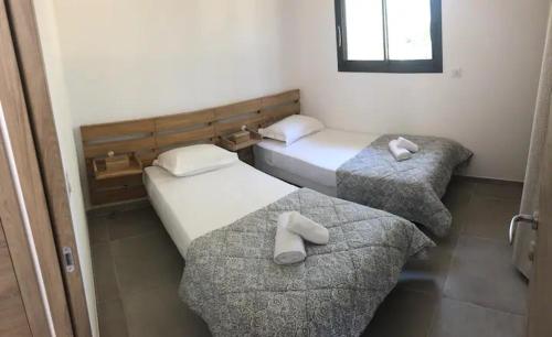 a room with two beds and a couch at Villa Ucellu sur 600 m2 avec accès mer privilégié et piscine privée chauffée in Sainte-Lucie de Porto-Vecchio