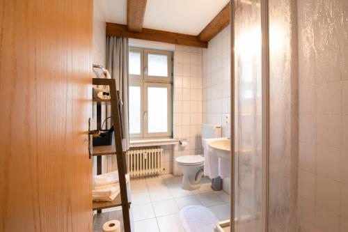 a bathroom with a toilet and a sink at Hotel Stadt Lüdenscheid, Domizil Herzogstraße in Lüdenscheid