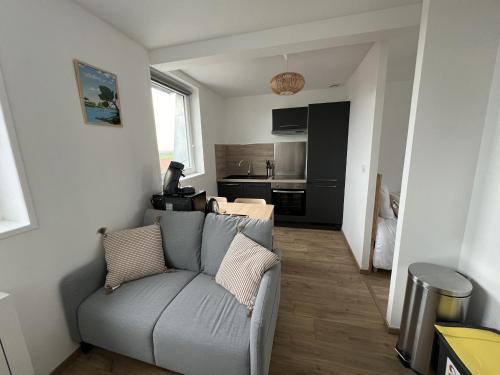 un salon avec un canapé et une cuisine dans l'établissement Ecrin Naturel - Studio 2p Montreuil-sur-Mer, à Écuires