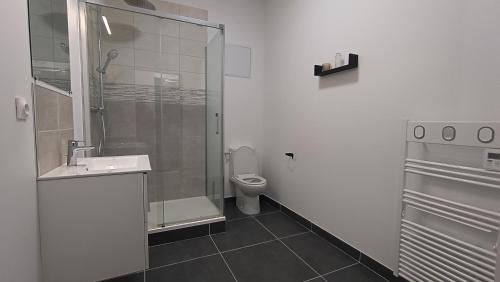 une salle de bain avec une douche, un lavabo et des toilettes dans l'établissement Le Calais Wilson 1, 4 pers, à Calais