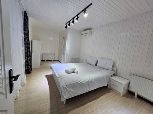 a bedroom with a white bed in a room at Dreamscape Villa in Gabala