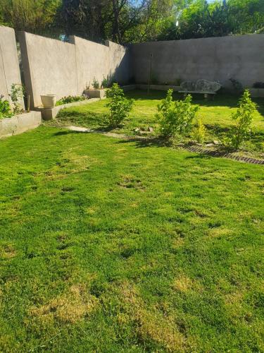 a yard with a green lawn with a bench in it at Arrival Center BnB in Maseru