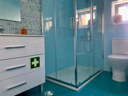 a bathroom with a shower and a toilet at Casa do Paço Aveiro - Studio&Rooms in Aveiro