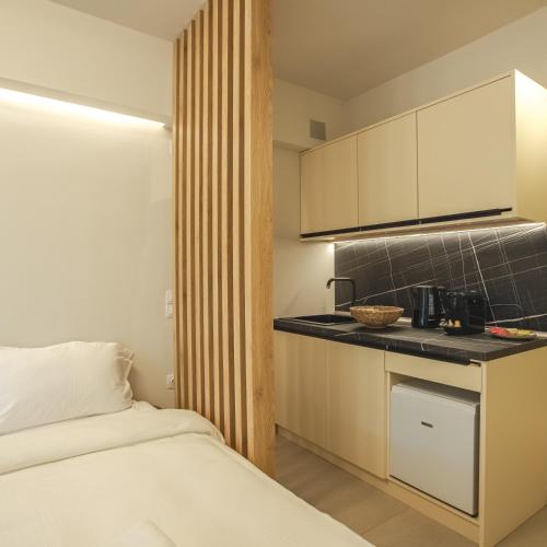 Η κουζίνα ή μικρή κουζίνα στο Mini Suites Trikala