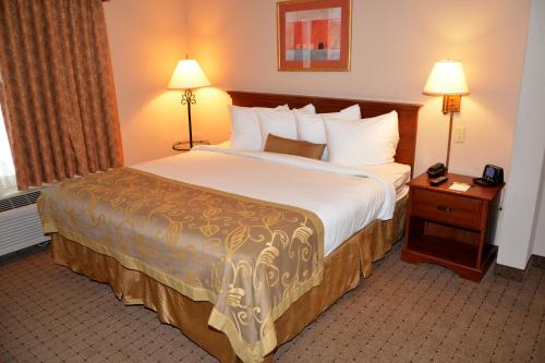 Un pat sau paturi într-o cameră la Wingate by Wyndham West Monroe