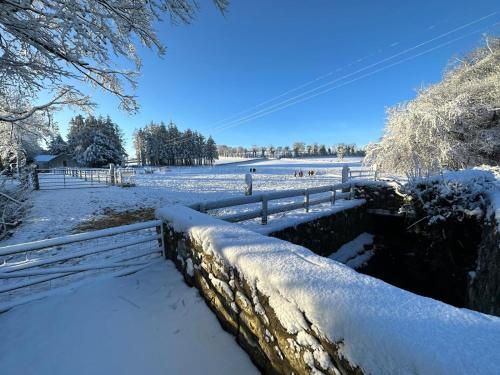 a fence covered in snow next to a field at O'Hares Farmhouse in Tassagh