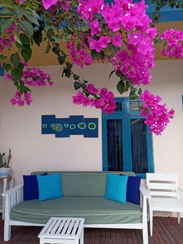 a couch sitting under a tree with pink flowers at Kendhoo holidays in Kendhoo