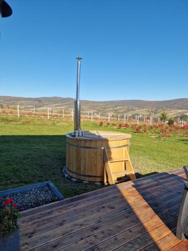 a wooden deck with a hot tub in a yard at Gospodarstwo Agroturystyczne Borówkowy Bukiet Smaków in Iwkowa